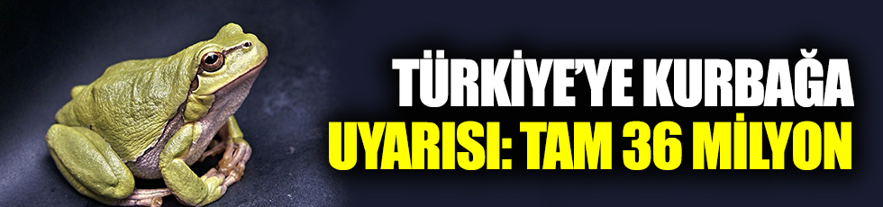 Türkiye'ye kurbağa uyarısı: Tam 36 milyon