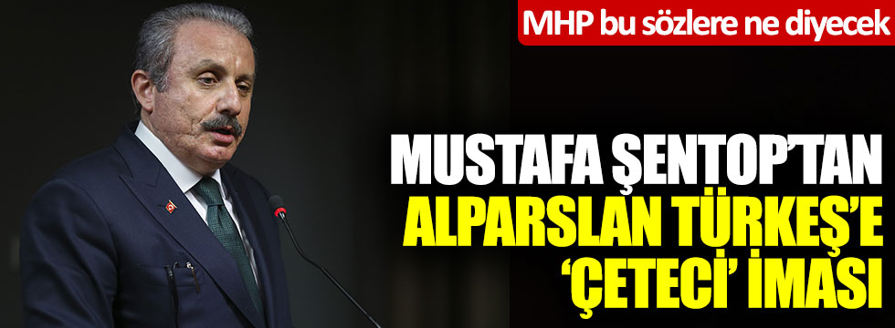 Mustafa Şentop'tan Alparslan Türkeş'e "çeteci" iması! MHP bu sözlere ne diyecek?