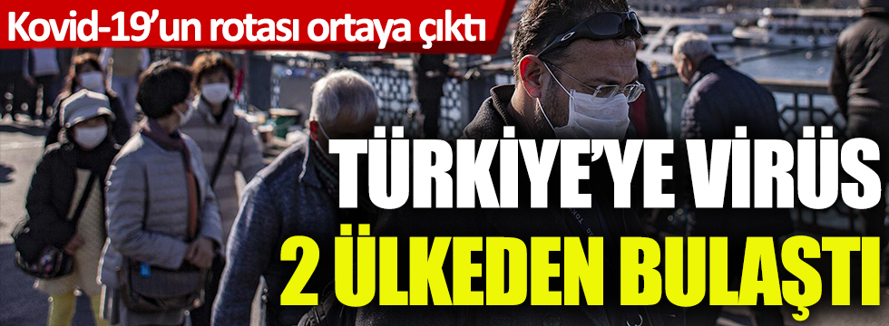 Türkiye'ye virüs 2 ülkeden bulaştı