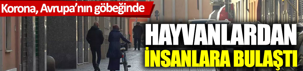 Korona, Avrupa’nın göbeğinde hayvanlardan insanlara bulaştı