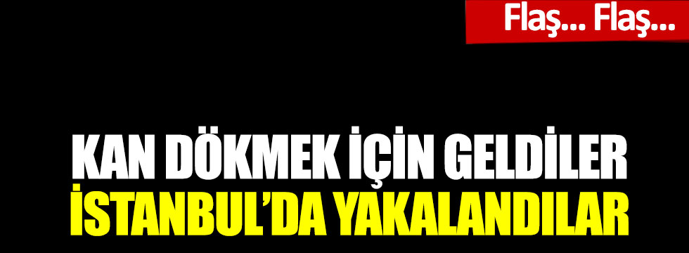 Katliam yapacaklardı: İstanbul'da yakalandılar!