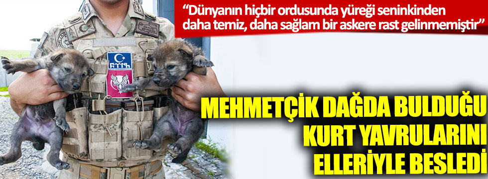 Mehmetçik dağda bulduğu kurt yavrularını elleriyle besledi; Atatürk'ün o sözü akıllara geldi
