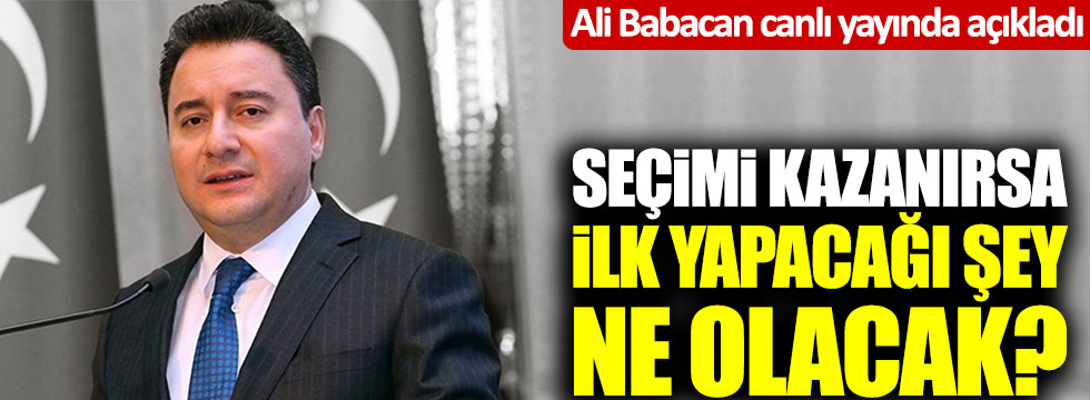 Cüneyt Özdemir'e konuşan Ali Babacan iktidara gelirlerse yapacağı ilk şeyi açıkladı