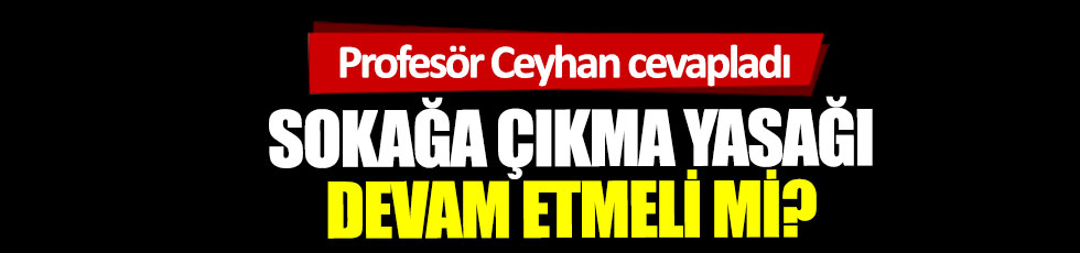 Profesör Mehmet Ceyhan cevapladı: Sokağa çıkma yasağı devam etmeli mi?