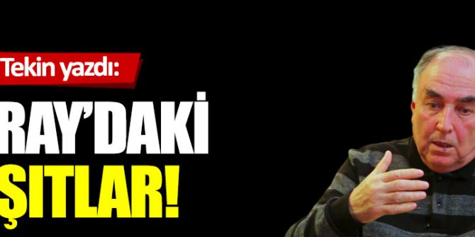 Saray’daki çaşıtlar!