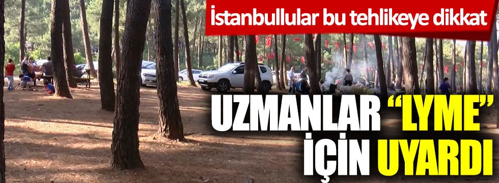 İstanbullular bu tehlikeye dikkat! Uzmanlar "lyme" için uyardı