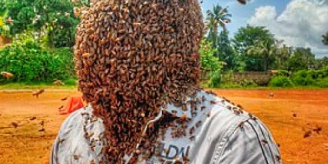 Rekor kırmak için kafasına 60 bin arı topladı