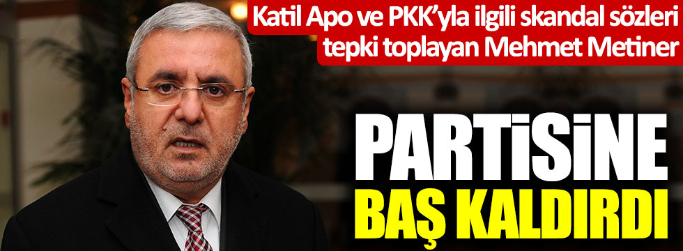 Katil Apo ve PKK'yla ilgili skandal sözleri tepki toplayan Mehmet Metiner, partisine baş kaldırdı