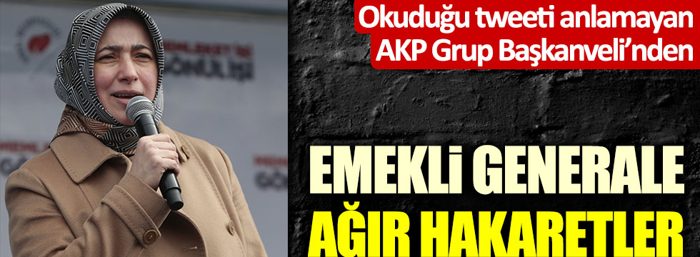 Okuduğu tweeti anlamayan AKP'li Özlem Zengin'den emekli generale ağır hakaretler