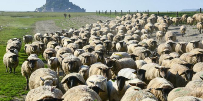 Ülkenin stratejik adası...Sular 600 metre çekildi