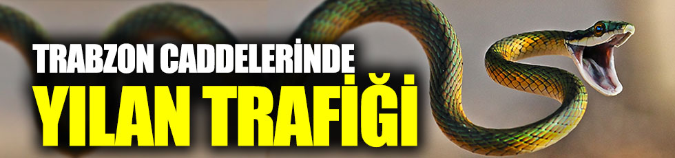 Trabzon caddelerinde yılan trafiği