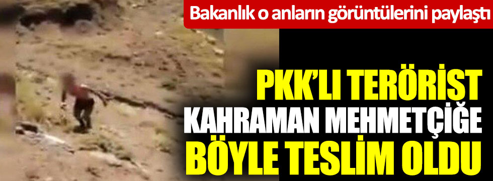 PKK'lı terörist Kahraman Mehmetçiğe böyle teslim oldu