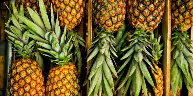 Vücüttaki ödemi söküp atıyor! Malzemesi az hazırlanışı basit