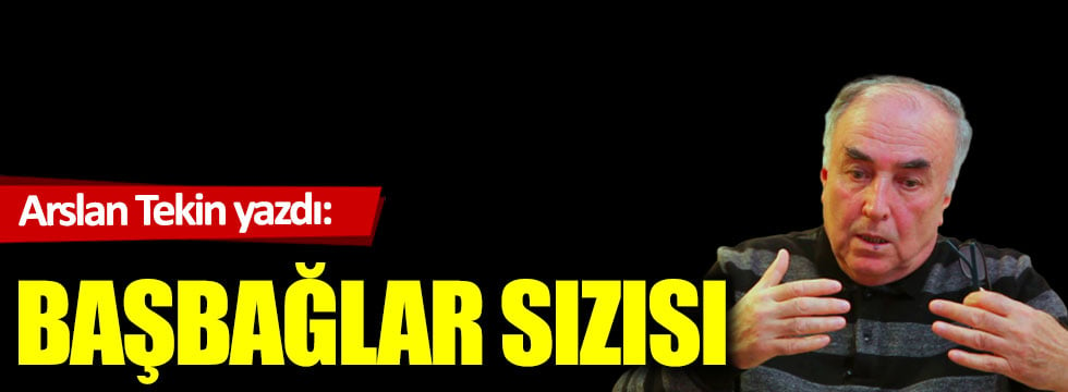 Başbağlar sızısı