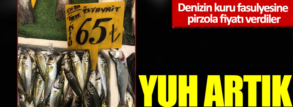 Yuh artık: Denizin kuru fasulyesi istavrite 'pirzola' fiyatı verdiler!