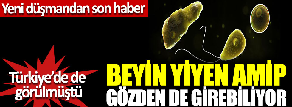 Yeni düşmandan son haber Türkiye’de de görülen ‘beyin yiyen amip’ gözden de girebiliyor