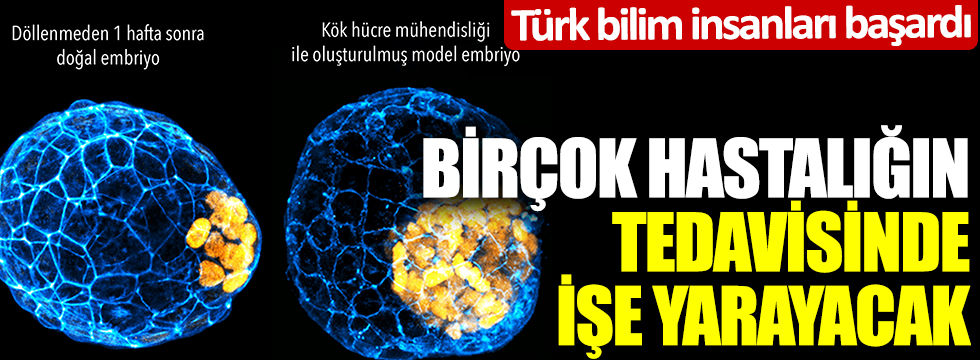 Türk bilim insanları başardı: Birçok hastalığın tedavisinde işe yarayacak