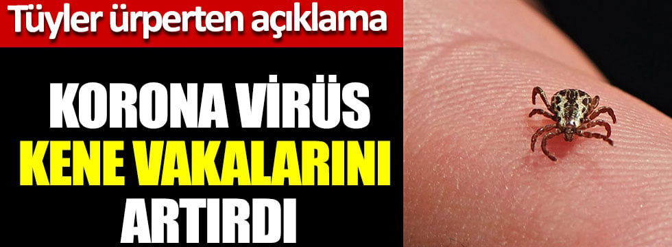 Tüyler ürperten kene açıklaması: Korona virüs kene vakalarını artırdı