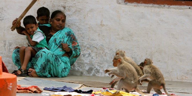 Maymunlar anne ile 4 çocuğunu öldürdü