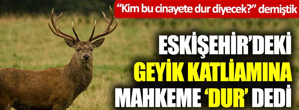 “Kim bu cinayete dur diyecek?” demiştik… Eskişehir’deki geyik katliamına mahkeme ‘dur’ dedi