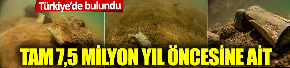Türkiye'de bulundu: Tam 7,5 milyon öncesine ait