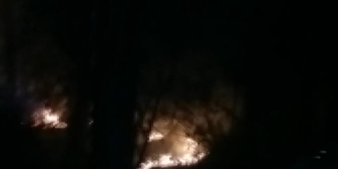 Belgrad Ormanı'nda korkutan yangın
