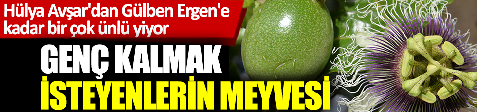 Hülya Avşar'dan Gülben Ergen'e kadar bir çok ünlü yiyor! Genç kalmak isteyenlerin meyvesi