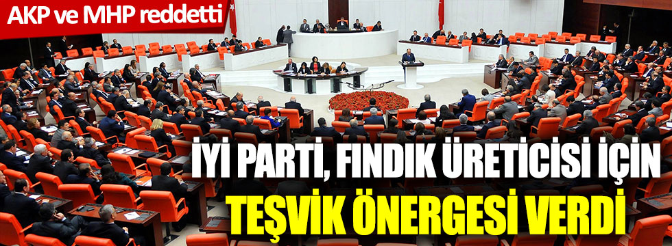 İYİ Parti, fındık üreticisi için teşvik önergesi verdi: AKP ve MHP reddetti