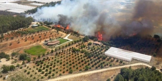 Antalya'da orman yangını: Alevler seralara dayandı