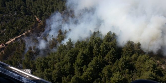 Burdur'daki orman yangınının çıkış nedeni belli oldu