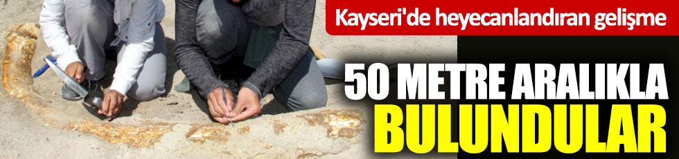 Kayseri'de heyecanlandıran gelişme! 50 metre aralıkla bulundular