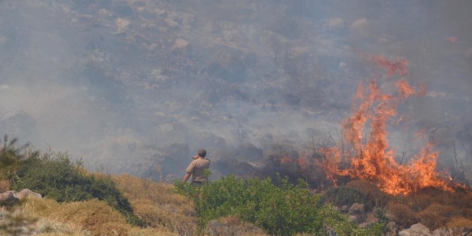 Ciğerlerimiz yanıyor! Aydın ve İzmir'de 4 orman yangını