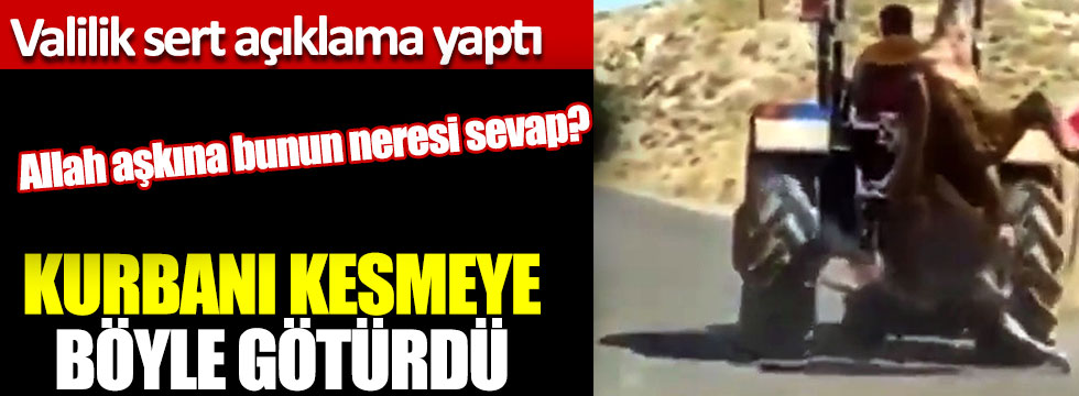 Kurbanı kesmeye böyle götürdü, Allah aşkına bunun neresi sevap?