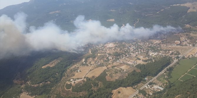 İzmir'de yine orman yangını
