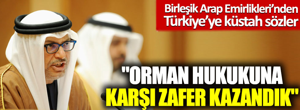 Birleşik Arap Emirlikleri’nden Türkiye’ye küstah sözler: "Orman hukukuna karşı zafer kazandık"