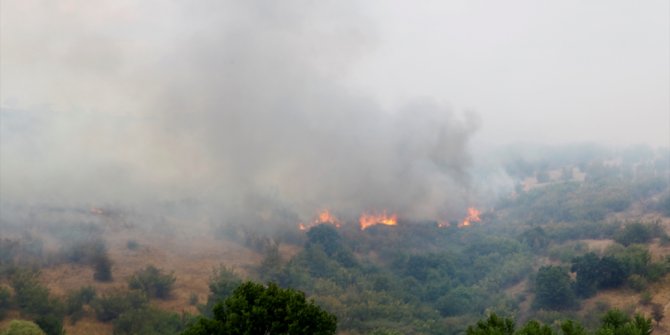 Bulgaristan-Türkiye sınırında yangın sürüyor