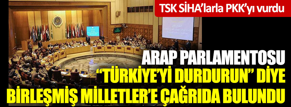 Arap Parlamentosu’ndan Birleşmiş Milletler’e çağrı: "Türkiye’yi durdurun"