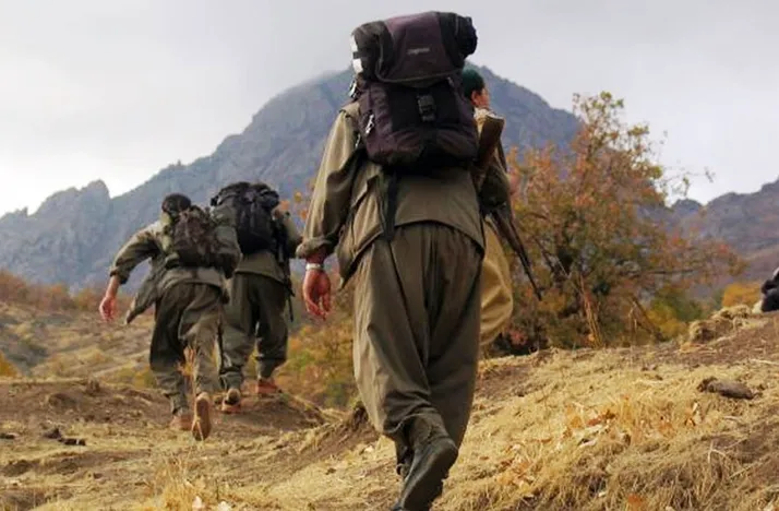 PKK'nın sözde Amanoslar sorumlusu etkisiz hale getirildi
