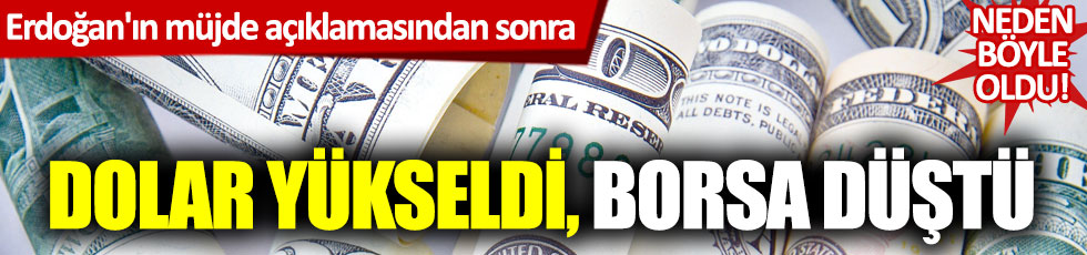 Erdoğan'ın müjde açıklamasından sonra dolar yükseldi, borsa düştü: Neden böyle buldu!