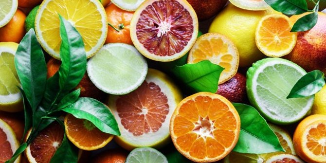Bilimsel araştırma sonucu: C vitamini yaşlılıkta kas kaybını önlüyor