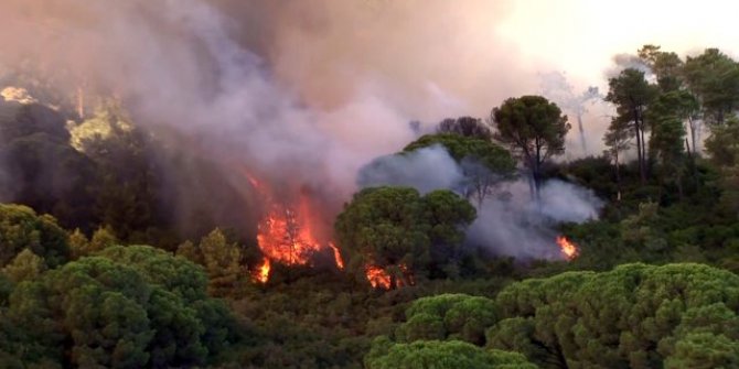 Aydos Ormanı alev alev yanıyor