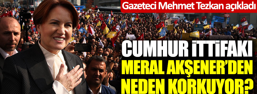 Cumhur İttifakı, Meral Akşener'den neden korkuyor? Mehmet Tezkan açıkladı
