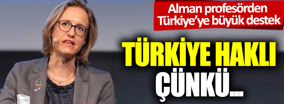 Alman profesörden Türkiye'ye büyük destek: Türkiye haklı çünkü...