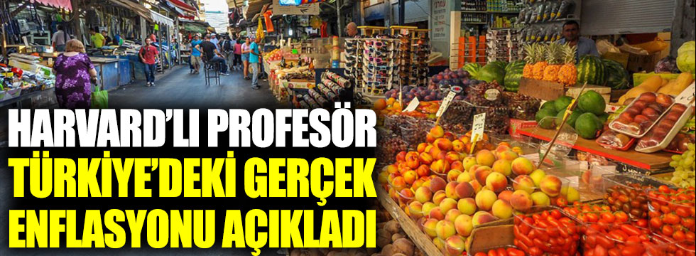 Harvard’lı profesör Türkiye’deki gerçek enflasyonu açıkladı
