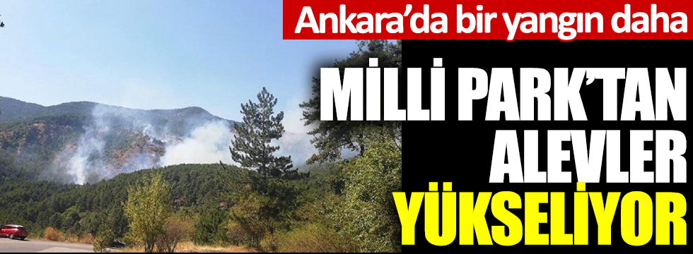 Ankara'da bir yangın daha: Milli Park'ta alevler yükseliyor