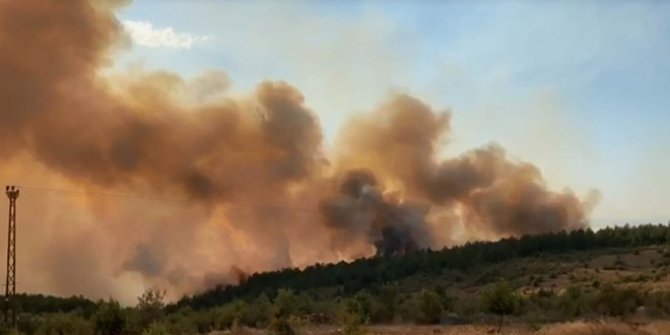 Kastamonu ve Çankırı'da orman yangını