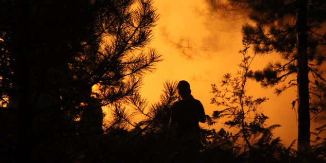 Bolu'da orman yangını! 2 köy tehlike altında