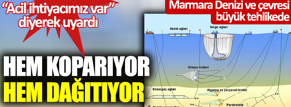 Hem koparıyor, hem dağıtıyor, alarm veriyor… Marmara Denizi ve çevresi büyük tehlikede: Acil ihtiyacımız var diyerek uyardı