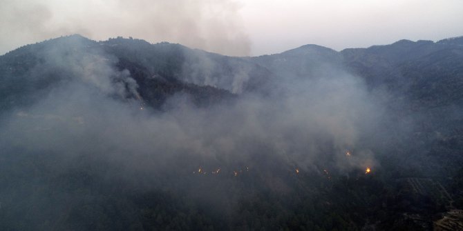 Hatay'da orman yangını devam ediyor