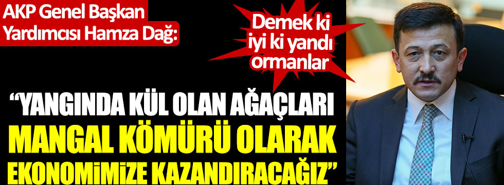 AKP'li Hamza Dağ: "Yangında kül olan ağaçları mangal kömürü olarak ekonomimize kazandıracağız"